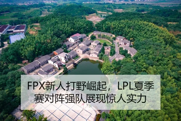 FPX新人打野崛起，LPL夏季赛对阵强队展现惊人实力